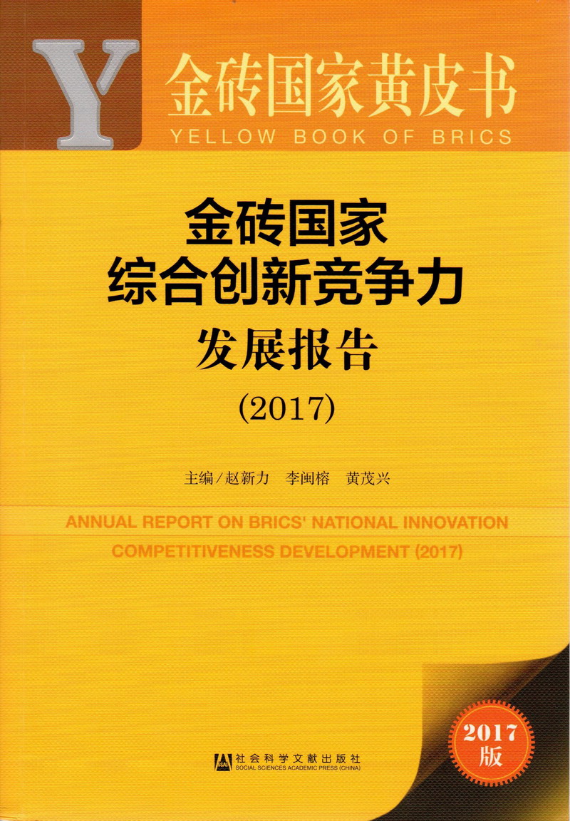 国产爆操逼免费看金砖国家综合创新竞争力发展报告（2017）